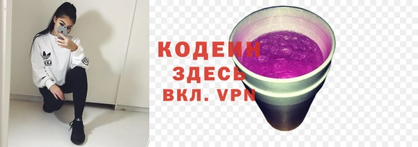 шишки Краснотурьинск