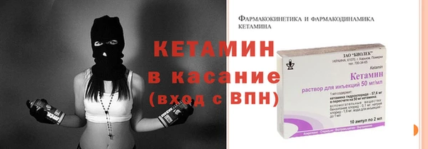 шишки Краснотурьинск