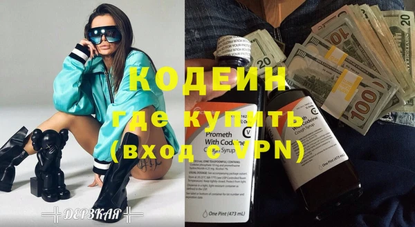 шишки Краснослободск