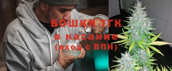 шишки Краснотурьинск