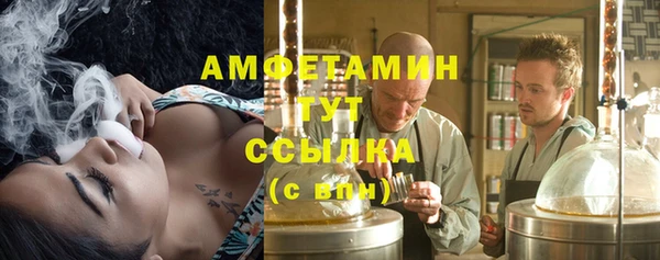 шишки Краснослободск