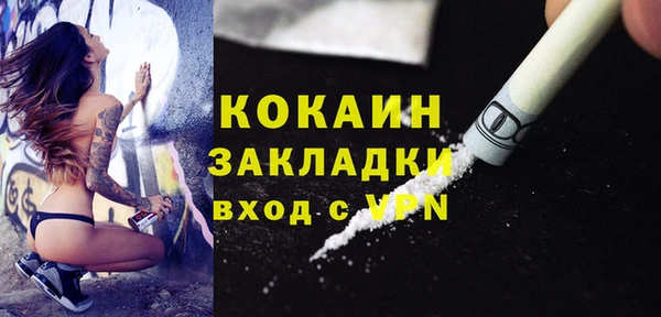 шишки Краснотурьинск