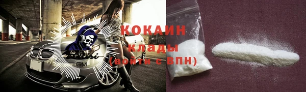 шишки Краснотурьинск