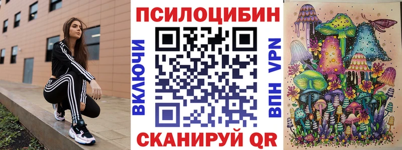 Купить закладки  Невьянск  Галлюциногенные грибы GOLDEN TEACHER 